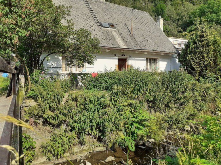 494e5d19-9ca5-449d-9eaa-4d2cf802eef8@w1920-2