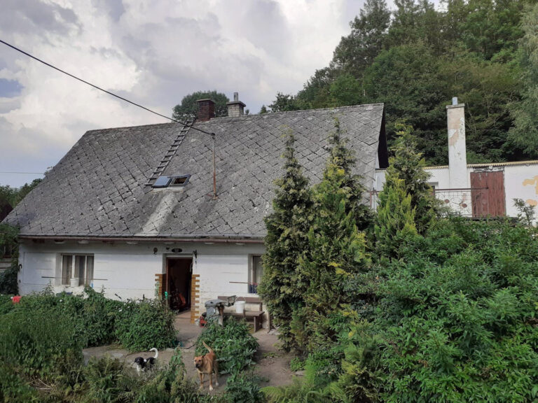 b2001114-94fc-4768-9af2-1261ae00354b@w1920