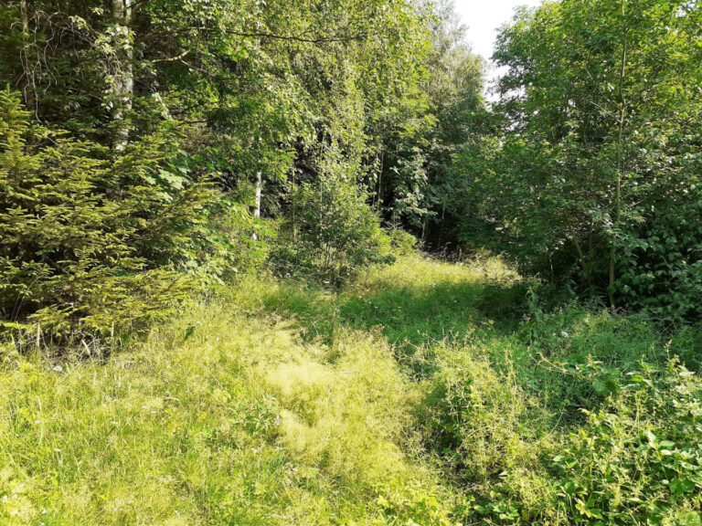 c5c0d490-641a-416a-93c2-139b64ce0f8e@w1920