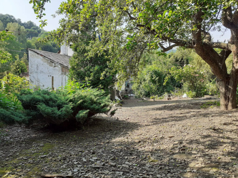 f6faa4fb-99d3-43ec-b963-54988a1daf02@w1920