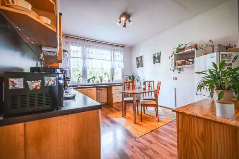 web byt Karvina Mizerov13