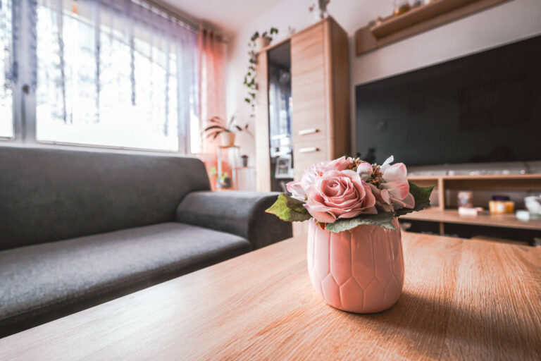 web byt Karvina Mizerov33