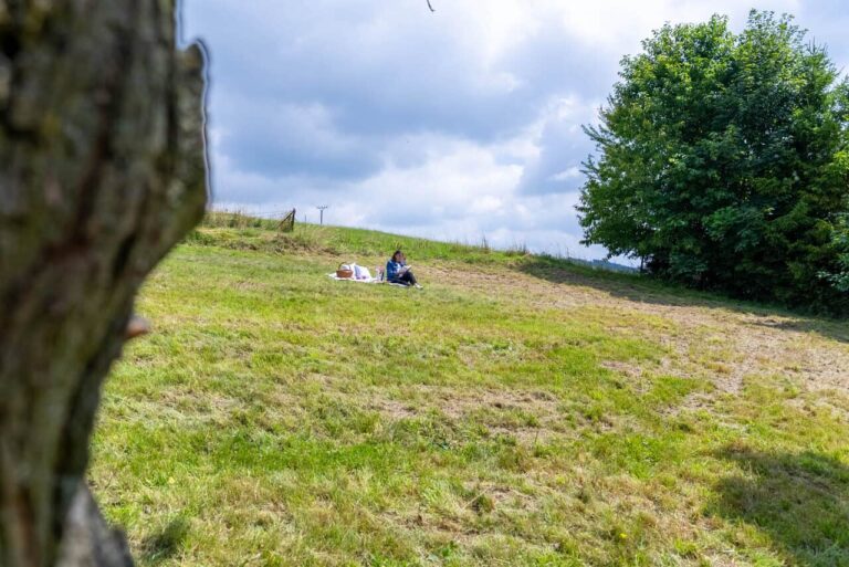 DSC09822-HDR-scaled_1