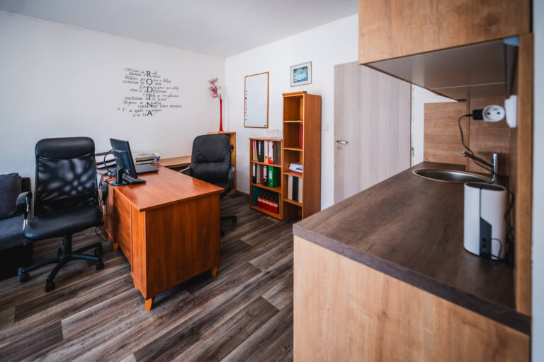 web Svatka Jahnova dum Bruntal38