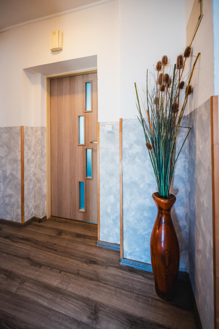 web Svatka Jahnova dum Bruntal41