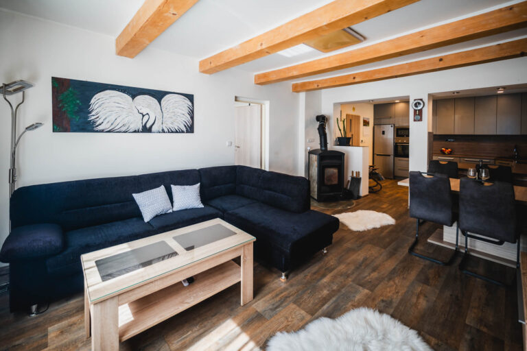 web Svatka Jahnova dum Bruntal49