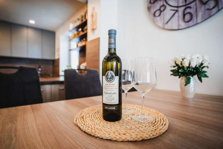 web Svatka Jahnova dum Bruntal51