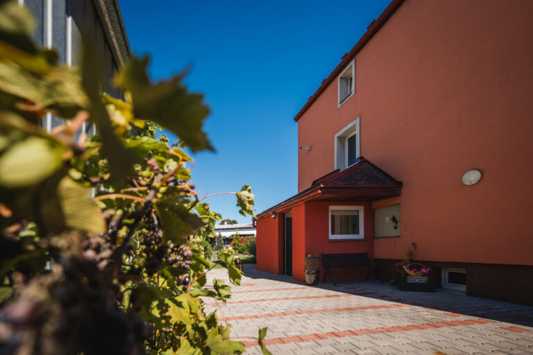 web Svatka Jahnova dum Bruntal6