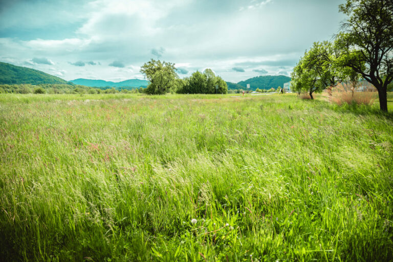 web-Svatka-Vlcovice-pozemek6-1