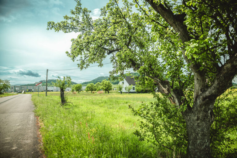 web-Svatka-Vlcovice-pozemek8-1