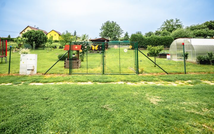 P1258575